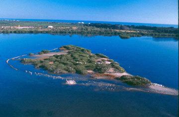 Pelican Island. Credit: US Fish and Wildlife Service.