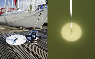 To measure water clarity, scientists use a secchi disk—an instrument that looks like a round plate attached in the center to a rope or line. Credit: Plymouth University, Secchi App