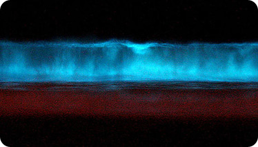 bioluminescence bioluminescent blue san red diego tides waves tide dinoflagellates glow glowing bay sea light sats causes organism night mnn