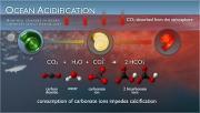 The oceans are getting more acidic as they absorb carbon dioxide from the atmosphere. Credit: National Oceanic and Atmospheric Administration